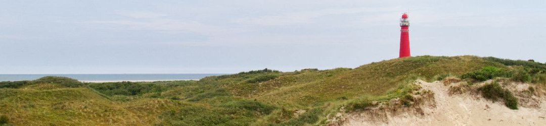 Casuïstiek in de nefrologie bij de volwassen populatie ‘Nier op Schier’